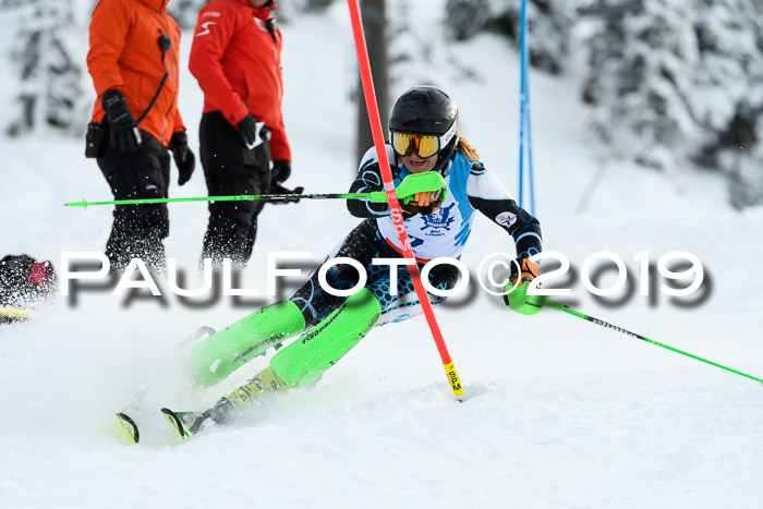 NJR Slalom Damen + Herren, Pass Thurn, 16.11.2019