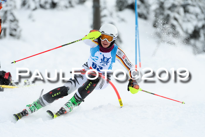 NJR Slalom Damen + Herren, Pass Thurn, 16.11.2019