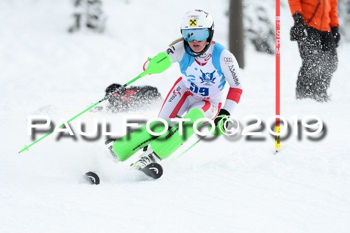NJR Slalom Damen + Herren, Pass Thurn, 16.11.2019