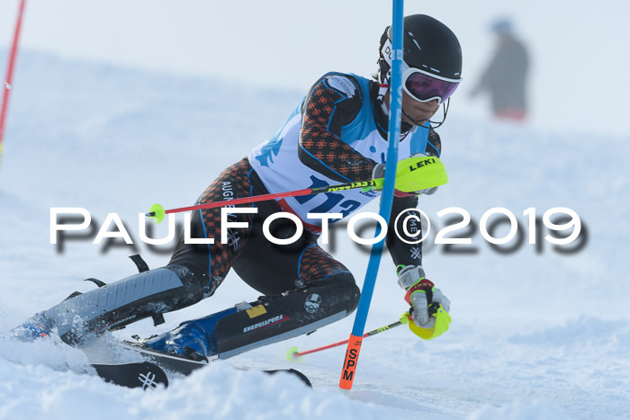 NJR Slalom Damen + Herren, Pass Thurn, 16.11.2019