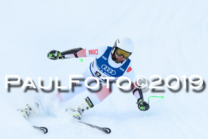 Super-G, NJC AC + FIS L+M
