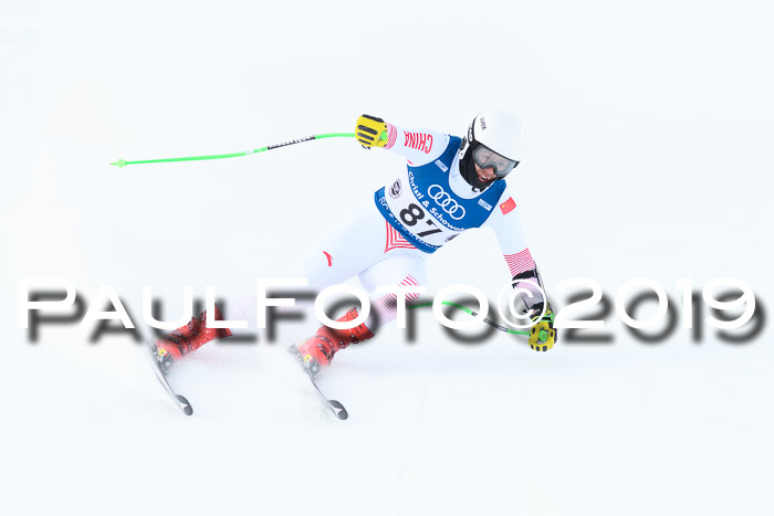 Super-G, NJC AC + FIS L+M