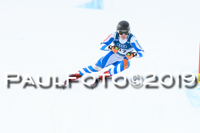 Super-G, NJC AC + FIS L+M