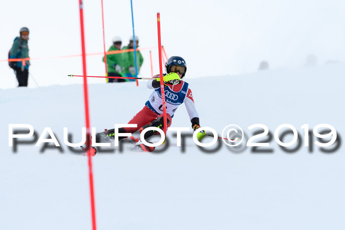 Slalom, NJC AC + FIS L+M