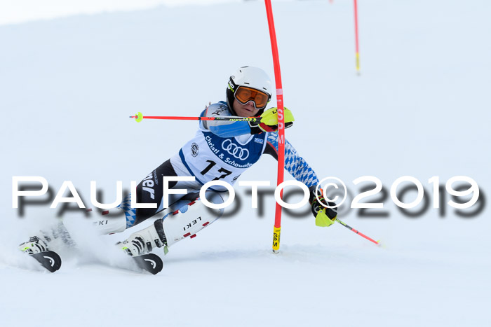 Slalom, NJC AC + FIS L+M