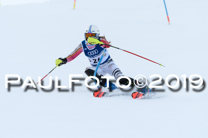 Slalom, NJC AC + FIS L+M