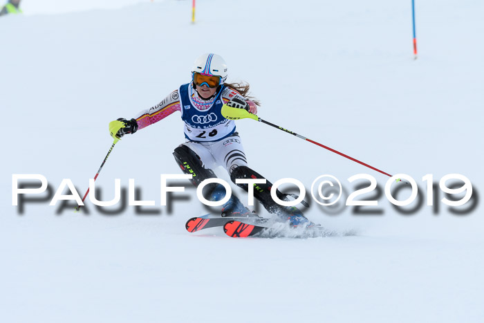 Slalom, NJC AC + FIS L+M