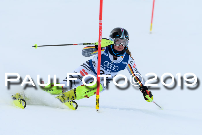 Slalom, NJC AC + FIS L+M