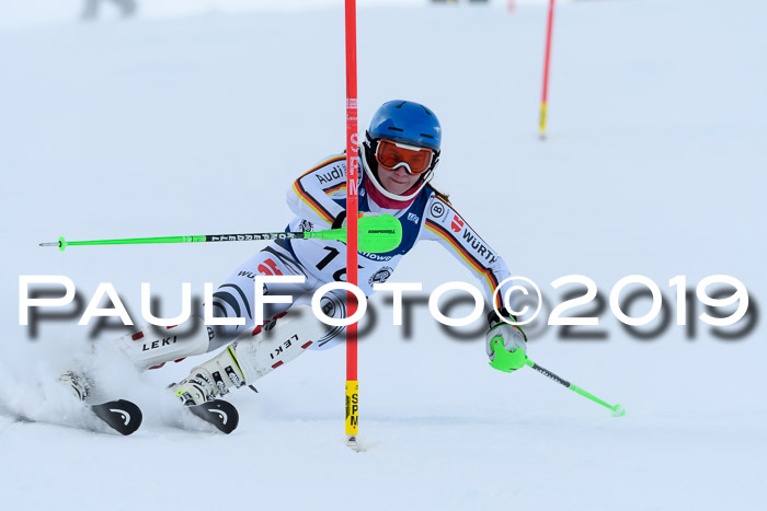 Slalom, NJC AC + FIS L+M