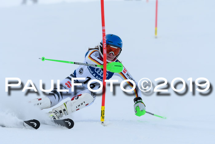 Slalom, NJC AC + FIS L+M