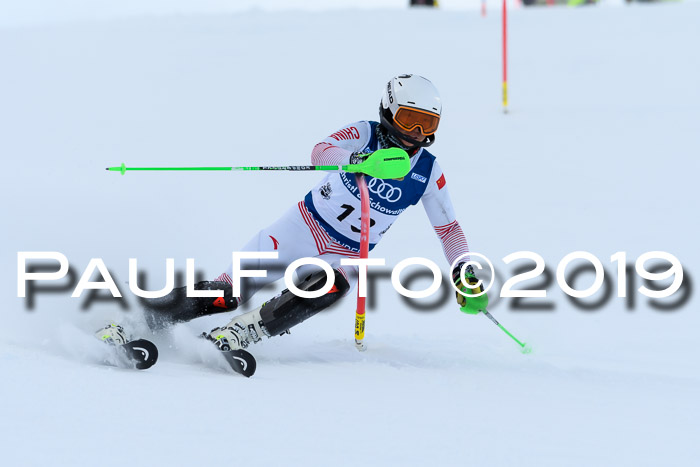 Slalom, NJC AC + FIS L+M