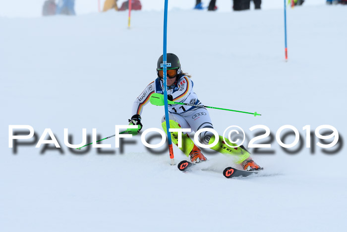 Slalom, NJC AC + FIS L+M