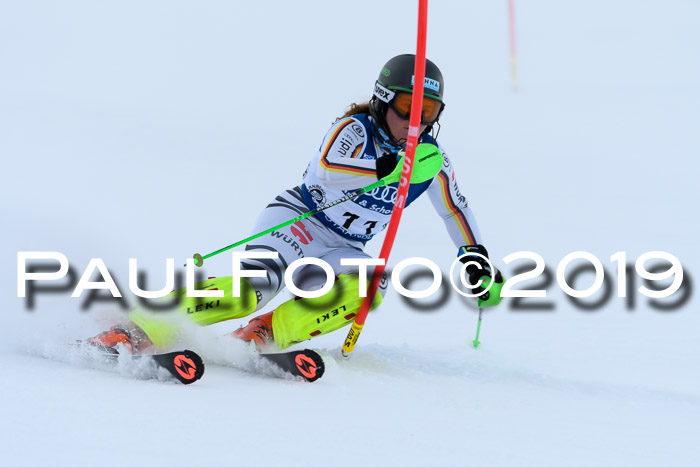 Slalom, NJC AC + FIS L+M