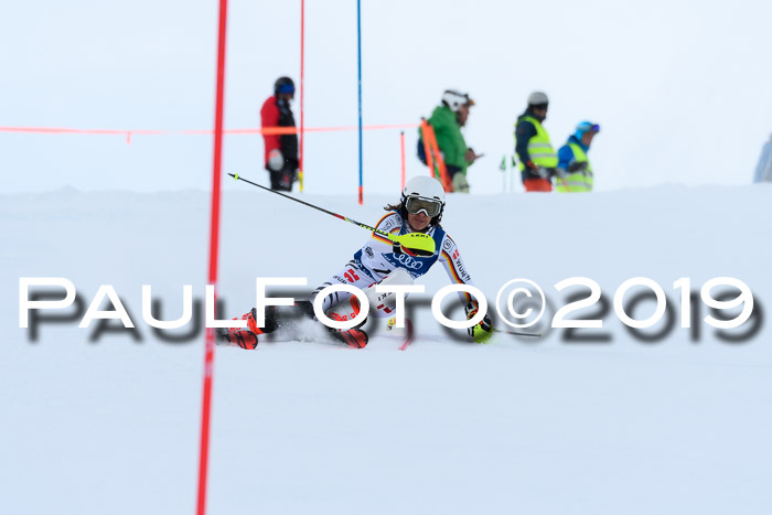 Slalom, NJC AC + FIS L+M