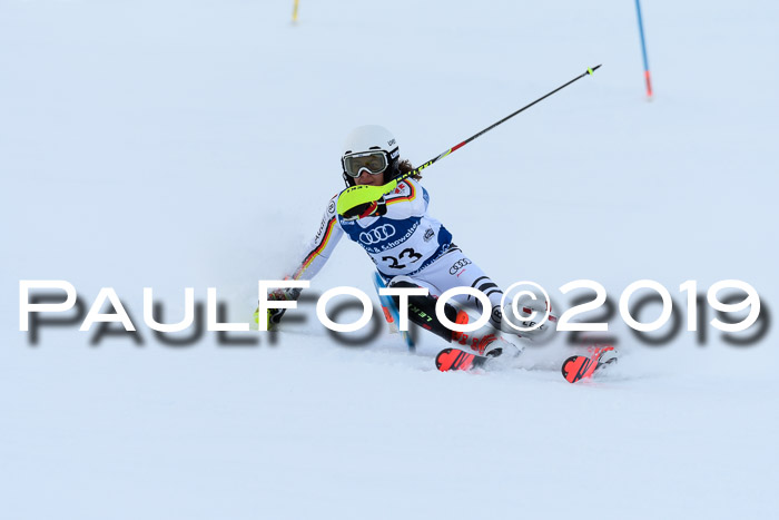 Slalom, NJC AC + FIS L+M