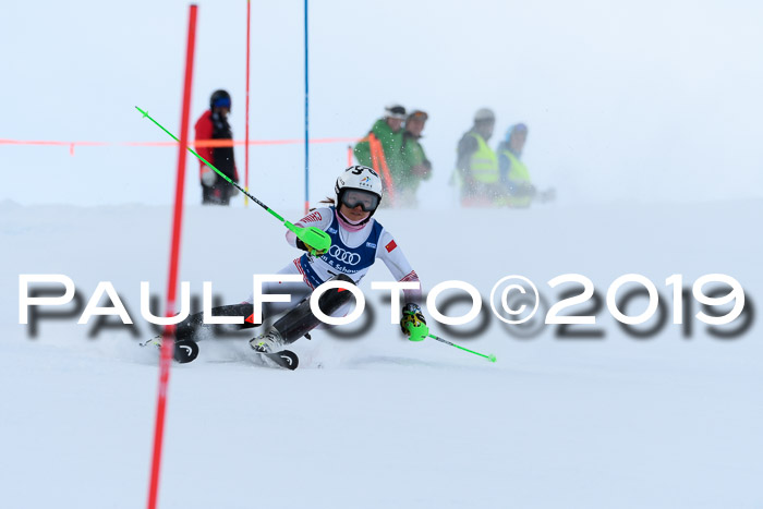 Slalom, NJC AC + FIS L+M