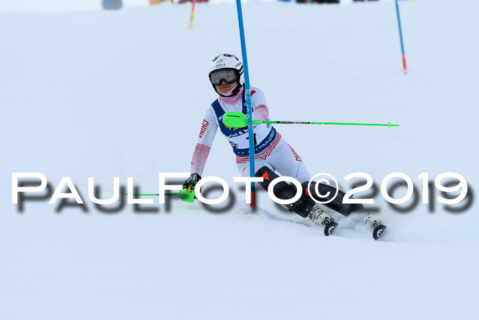 Slalom, NJC AC + FIS L+M