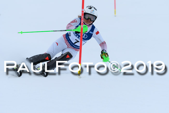 Slalom, NJC AC + FIS L+M