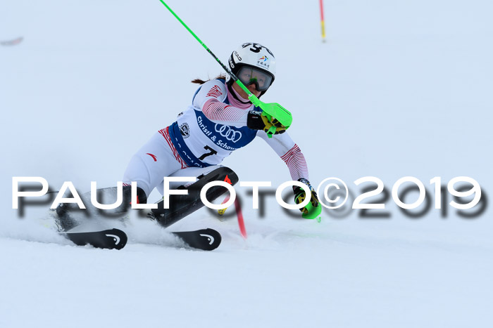 Slalom, NJC AC + FIS L+M