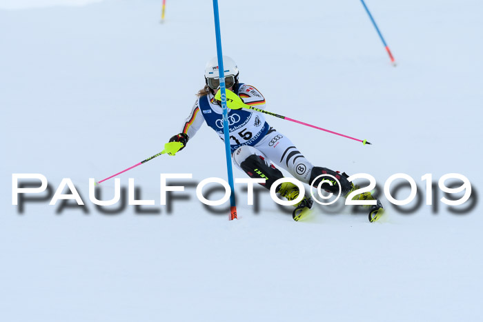 Slalom, NJC AC + FIS L+M