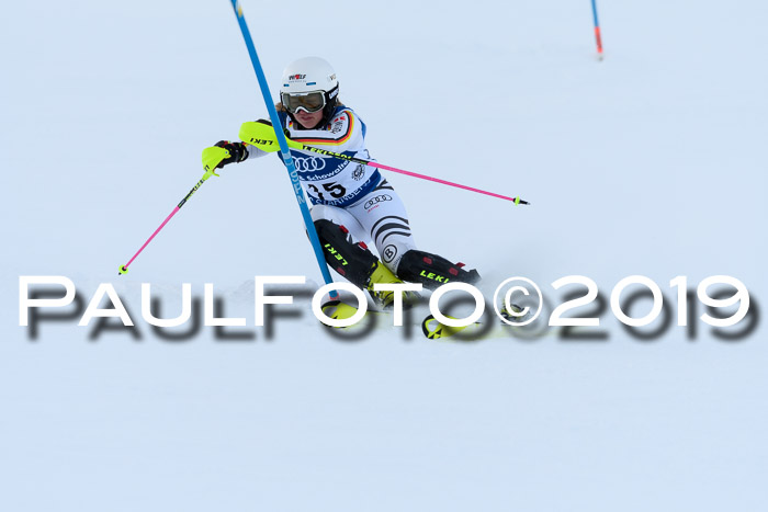 Slalom, NJC AC + FIS L+M