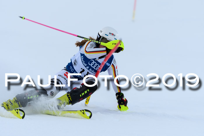 Slalom, NJC AC + FIS L+M