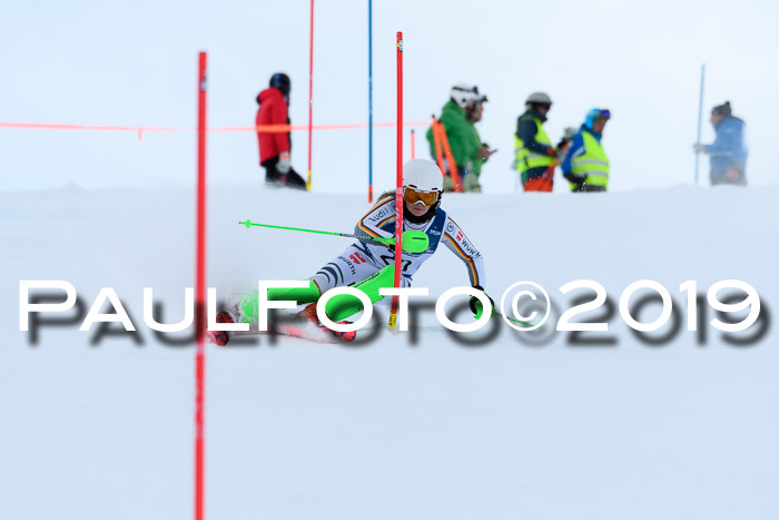 Slalom, NJC AC + FIS L+M