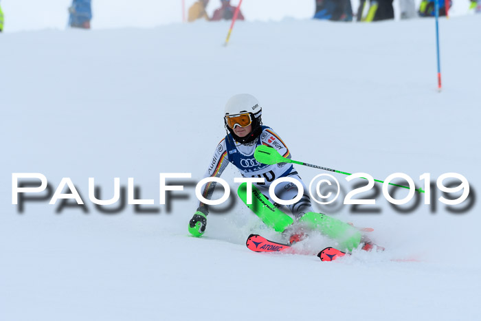 Slalom, NJC AC + FIS L+M