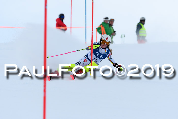 Slalom, NJC AC + FIS L+M