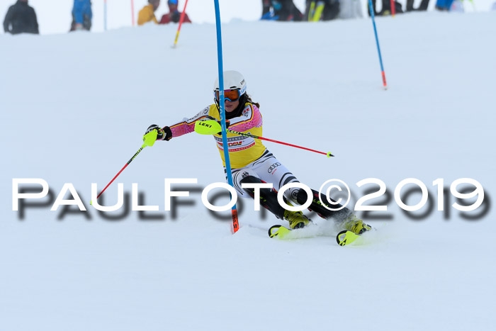 Slalom, NJC AC + FIS L+M