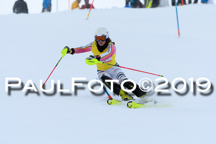 Slalom, NJC AC + FIS L+M