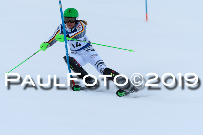 Slalom, NJC AC + FIS L+M