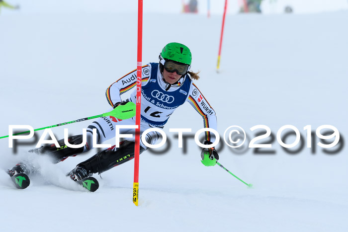 Slalom, NJC AC + FIS L+M