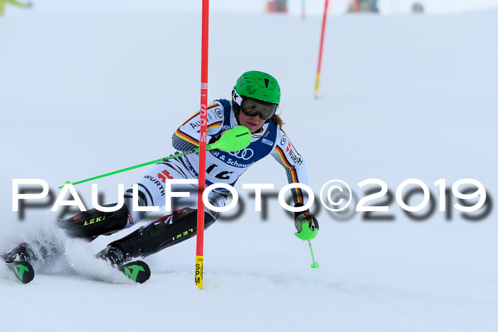 Slalom, NJC AC + FIS L+M