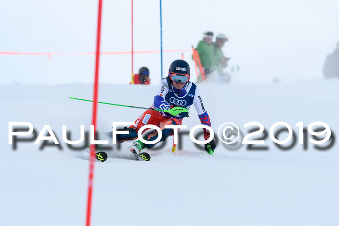 Slalom, NJC AC + FIS L+M