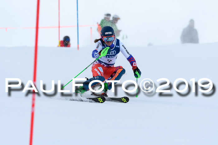 Slalom, NJC AC + FIS L+M