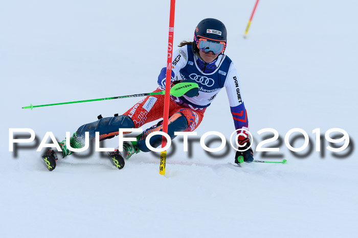 Slalom, NJC AC + FIS L+M