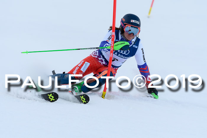 Slalom, NJC AC + FIS L+M