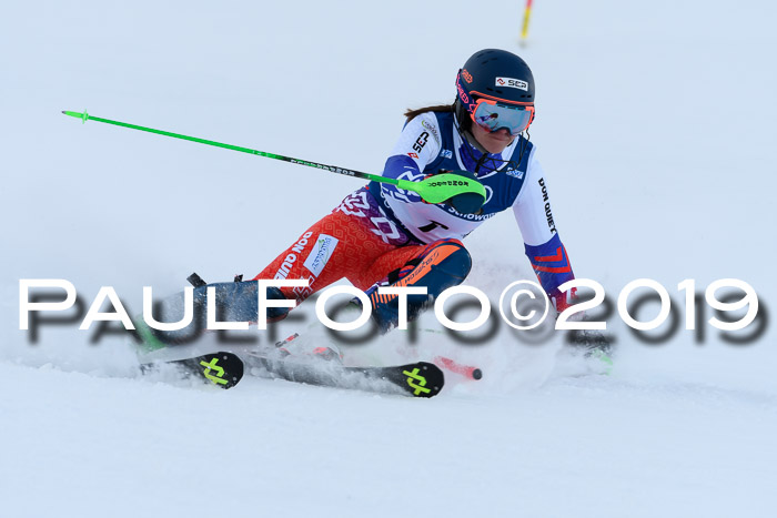 Slalom, NJC AC + FIS L+M