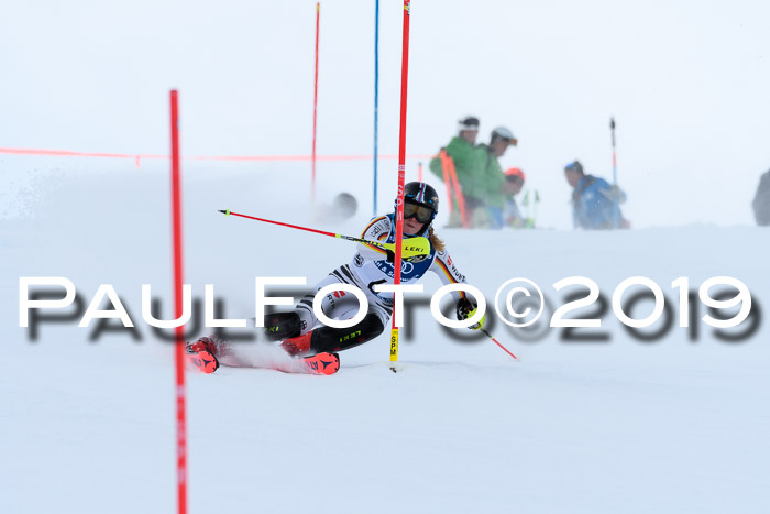 Slalom, NJC AC + FIS L+M