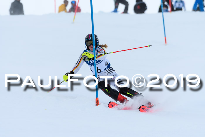 Slalom, NJC AC + FIS L+M