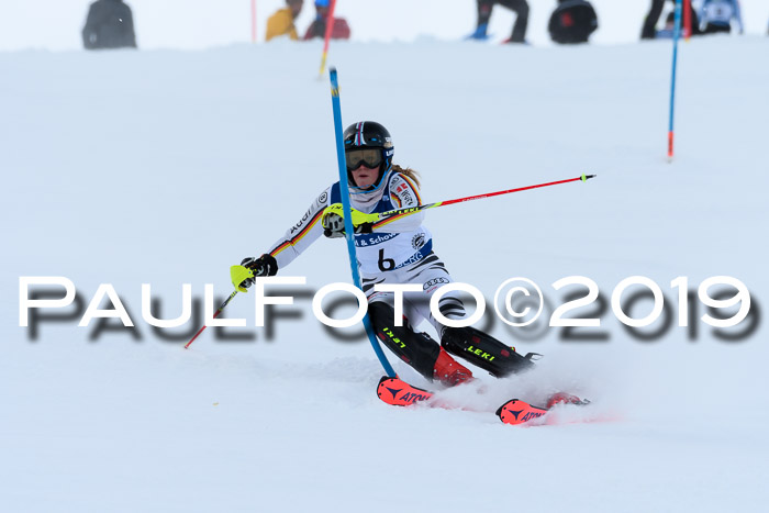 Slalom, NJC AC + FIS L+M