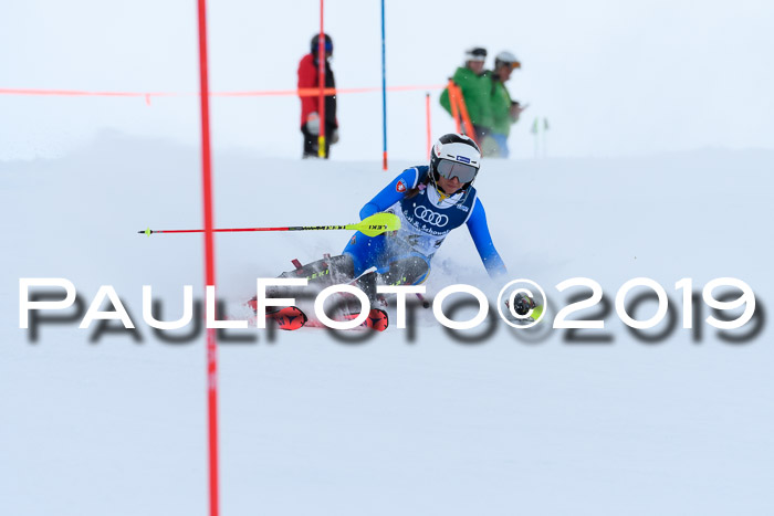 Slalom, NJC AC + FIS L+M