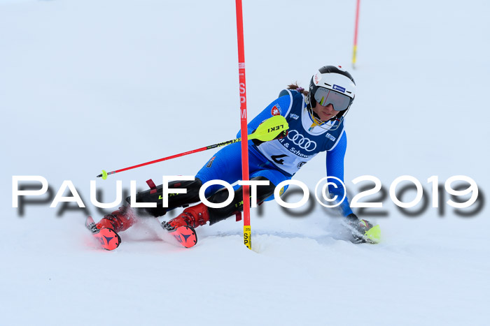 Slalom, NJC AC + FIS L+M