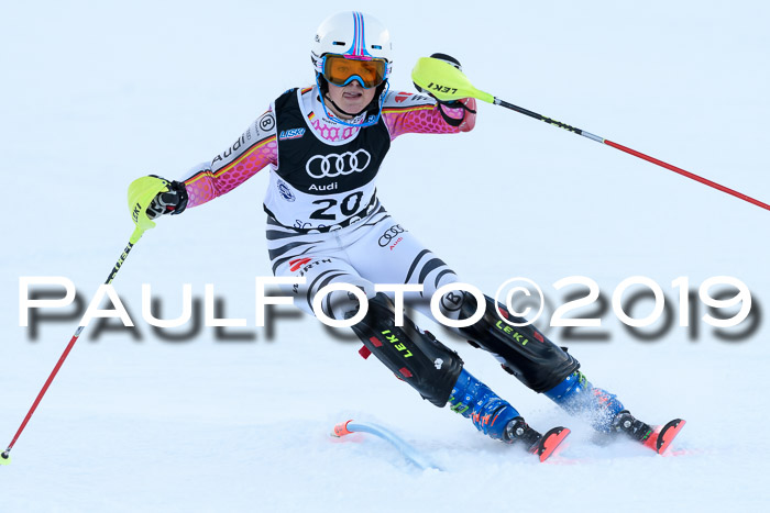 Slalom, NJC AC + FIS L+M