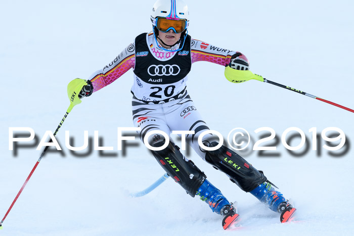 Slalom, NJC AC + FIS L+M