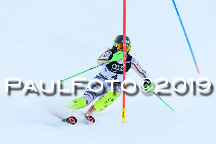 Slalom, NJC AC + FIS L+M