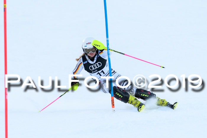 Slalom, NJC AC + FIS L+M