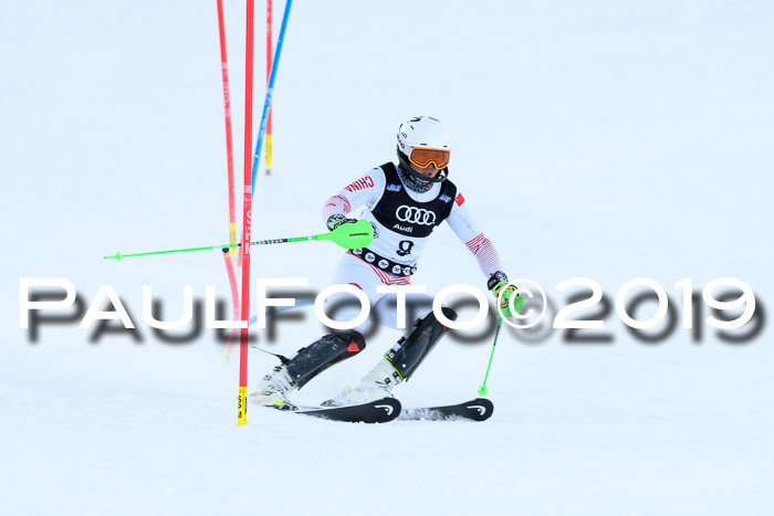 Slalom, NJC AC + FIS L+M