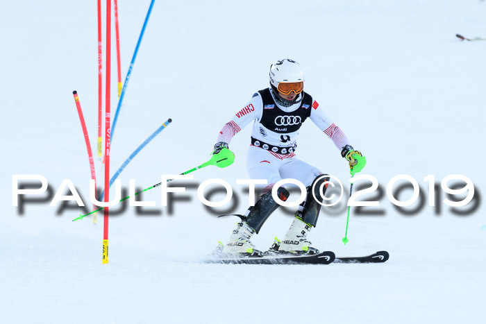 Slalom, NJC AC + FIS L+M